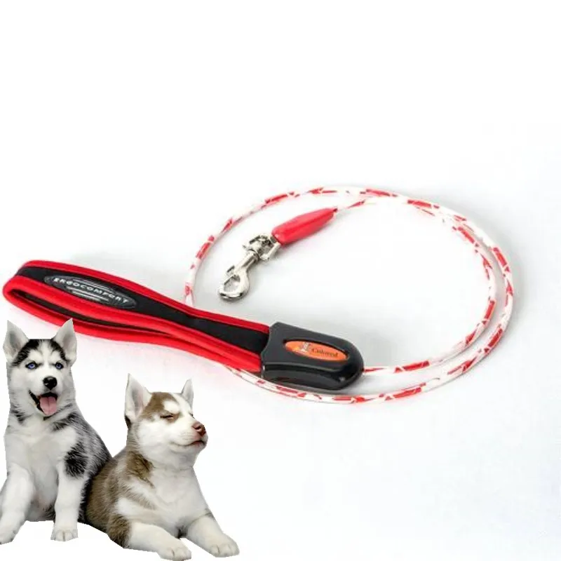 Buy Dog Leashes For Outdoor training Walking recall