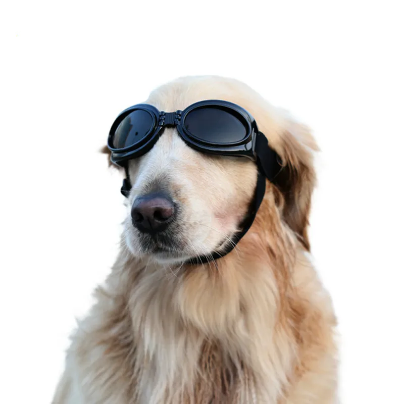 Pet Supplies & Pet Dog eyeglasses Goggles Sunglassesin Dog Accessories