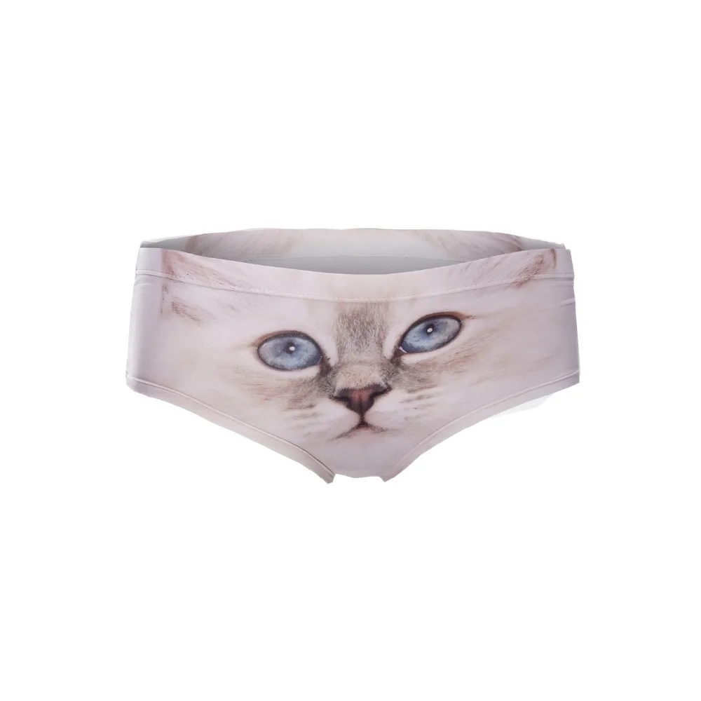 39064 sad kitty (4)