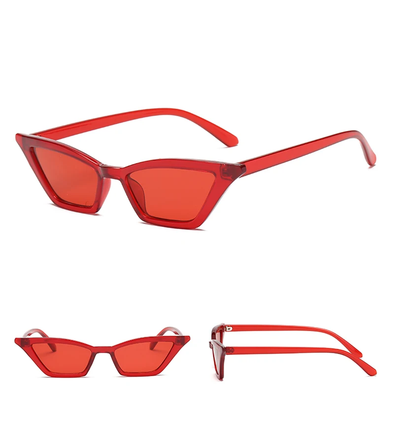 small cat eye sunglasses 900060 details (8)