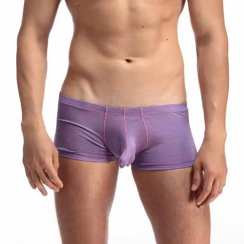 Lowrise Mens Sexy Cozy Cottom Silky Bikini With Penis -2591