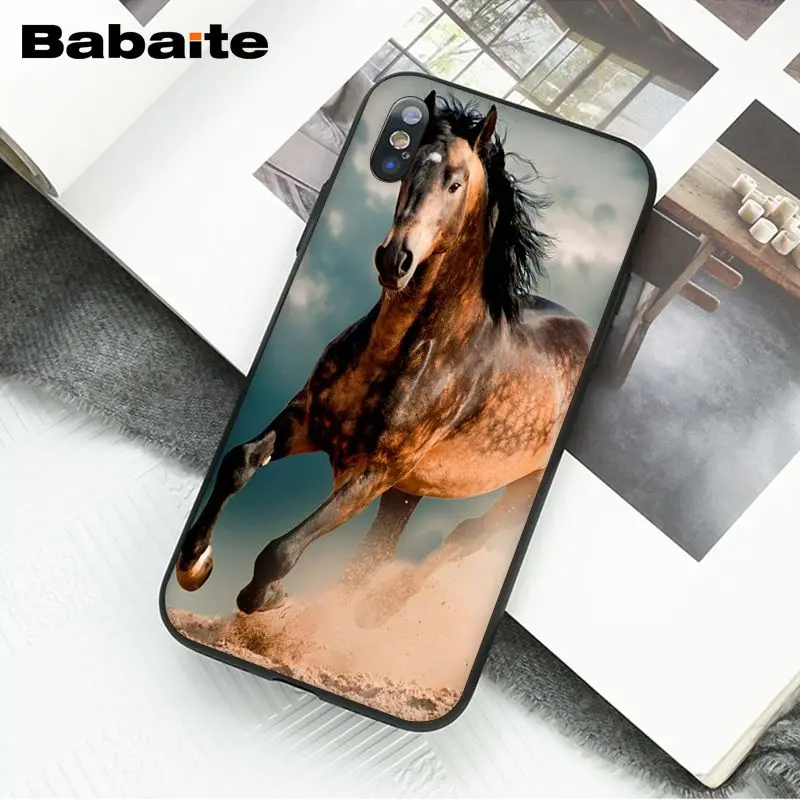 Horse Animal