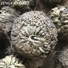 7-9 см волшебное растение, Роза Иерихона, динозавр, растение, воздушный папоротник, селагинелла, сушеные цветы из мха