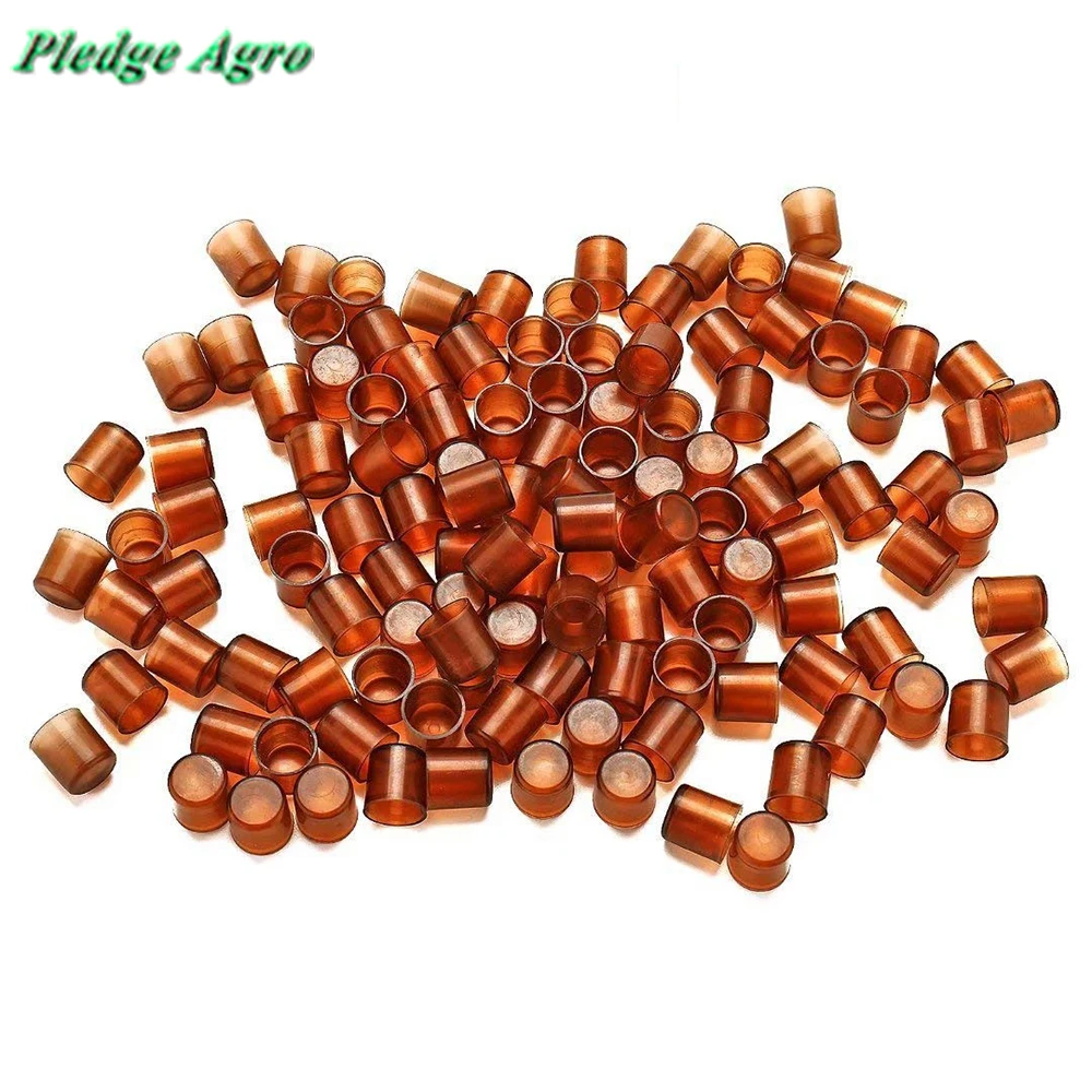 

500PCS bee queen rearing bee tools for queen bees abeja reina apicultura rearing breeding beekeeping supplier tool kit equipment