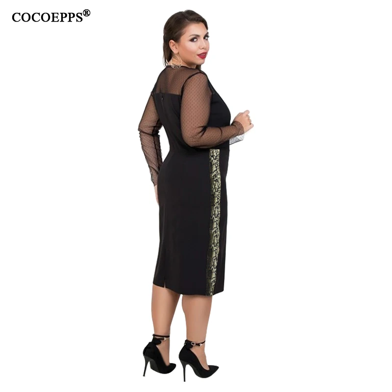 COCOEPPS  4