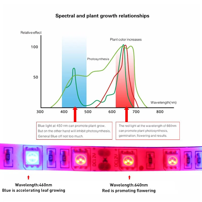 1 м-5 м светодиодный комплект для выращивания растений SMD 5050 60 светодиодный/м водонепроницаемый красный синий свет лента набор+ блок питания для теплицы гидропоники