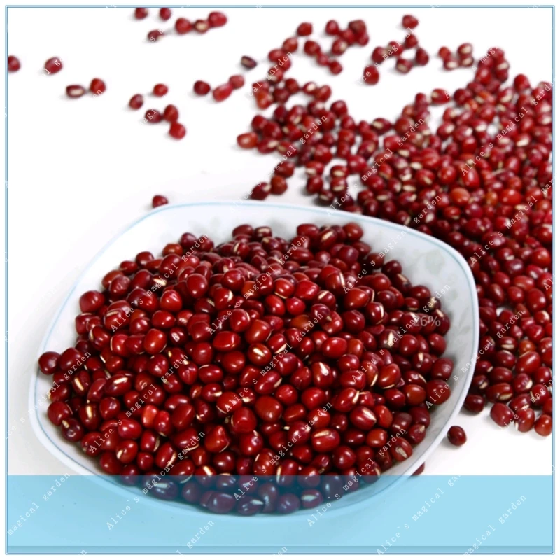 

ZLKING 20pcs egetable Hongdoudou red beans can be printed beans beans