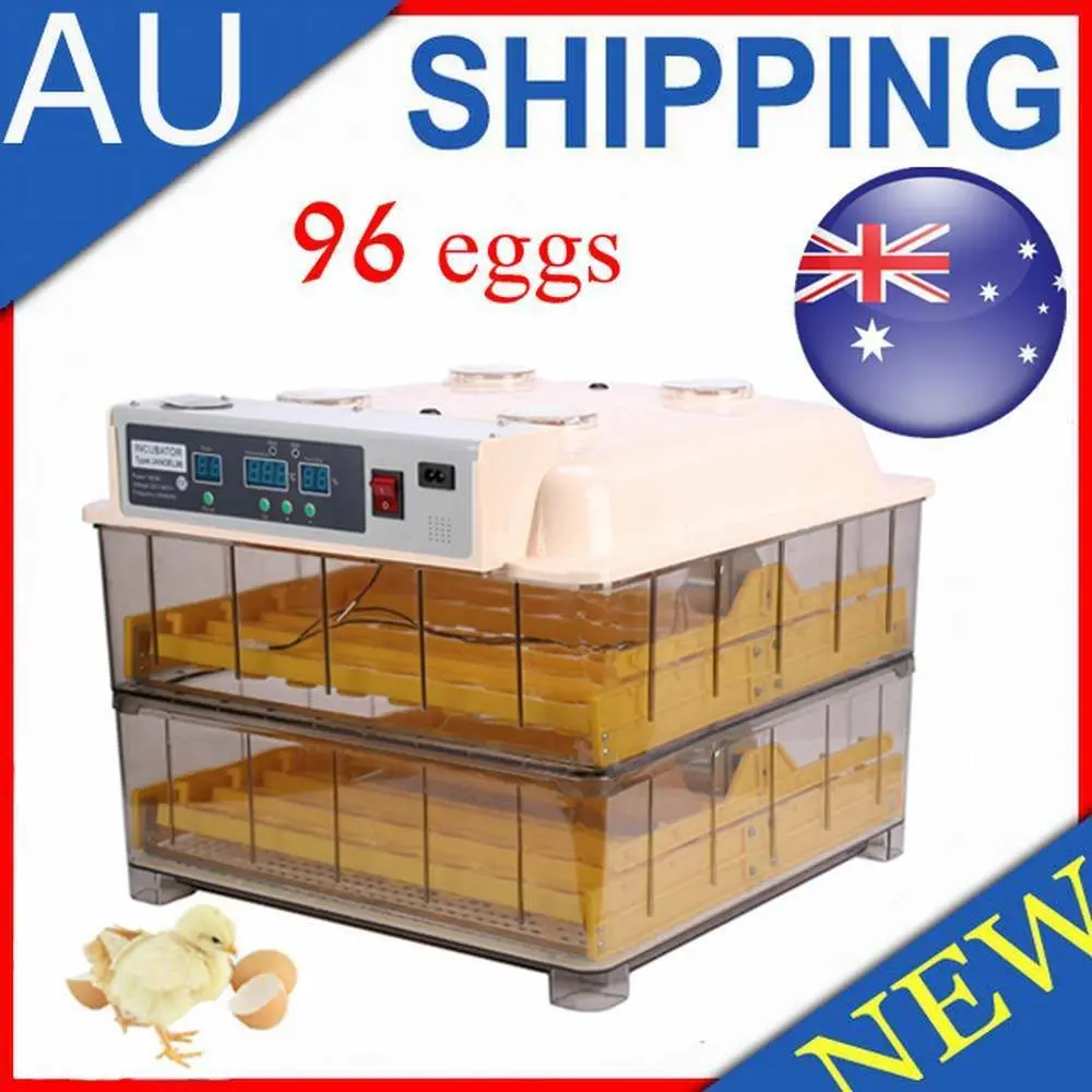 New technology egg incubator