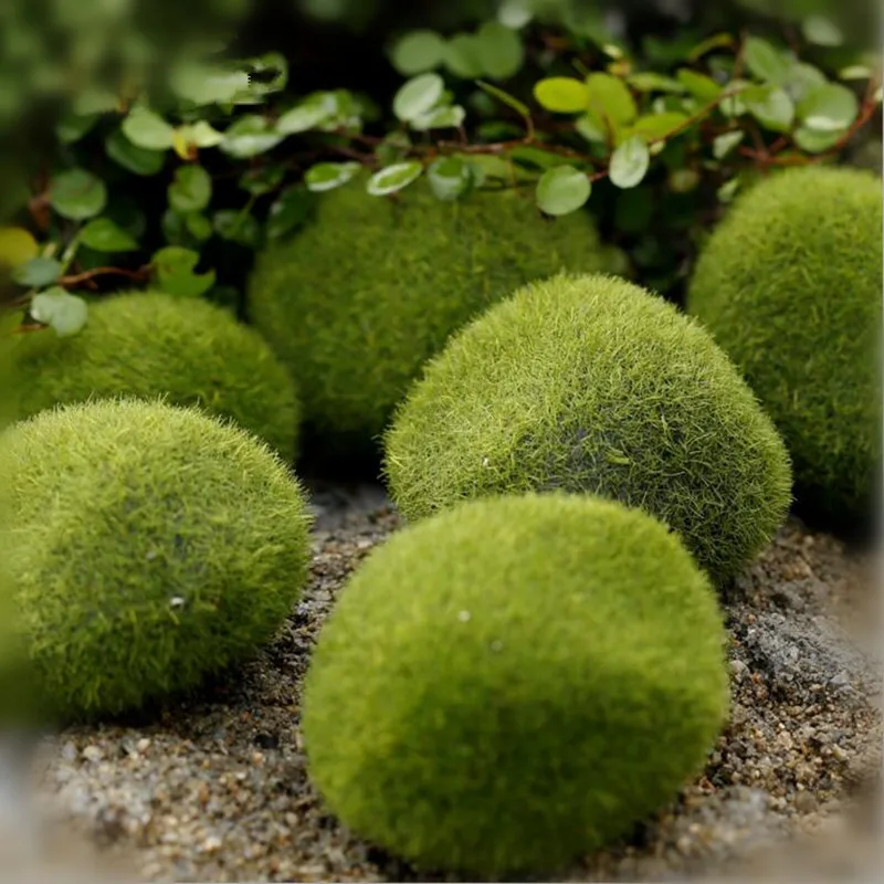 

Mini Artificial Stone Moss,Micro Landscape Bonsai Plant Garden Ornament , DIY Home Decorations Tablewares Lichen accessories
