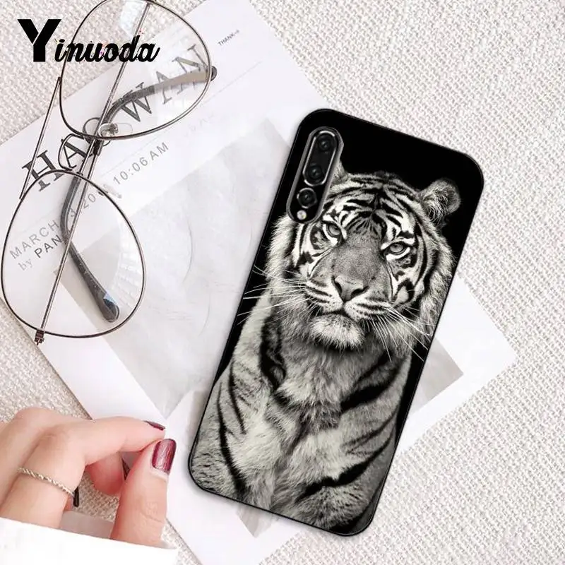 Russian version wolf tiger lion Leopard bear animal
