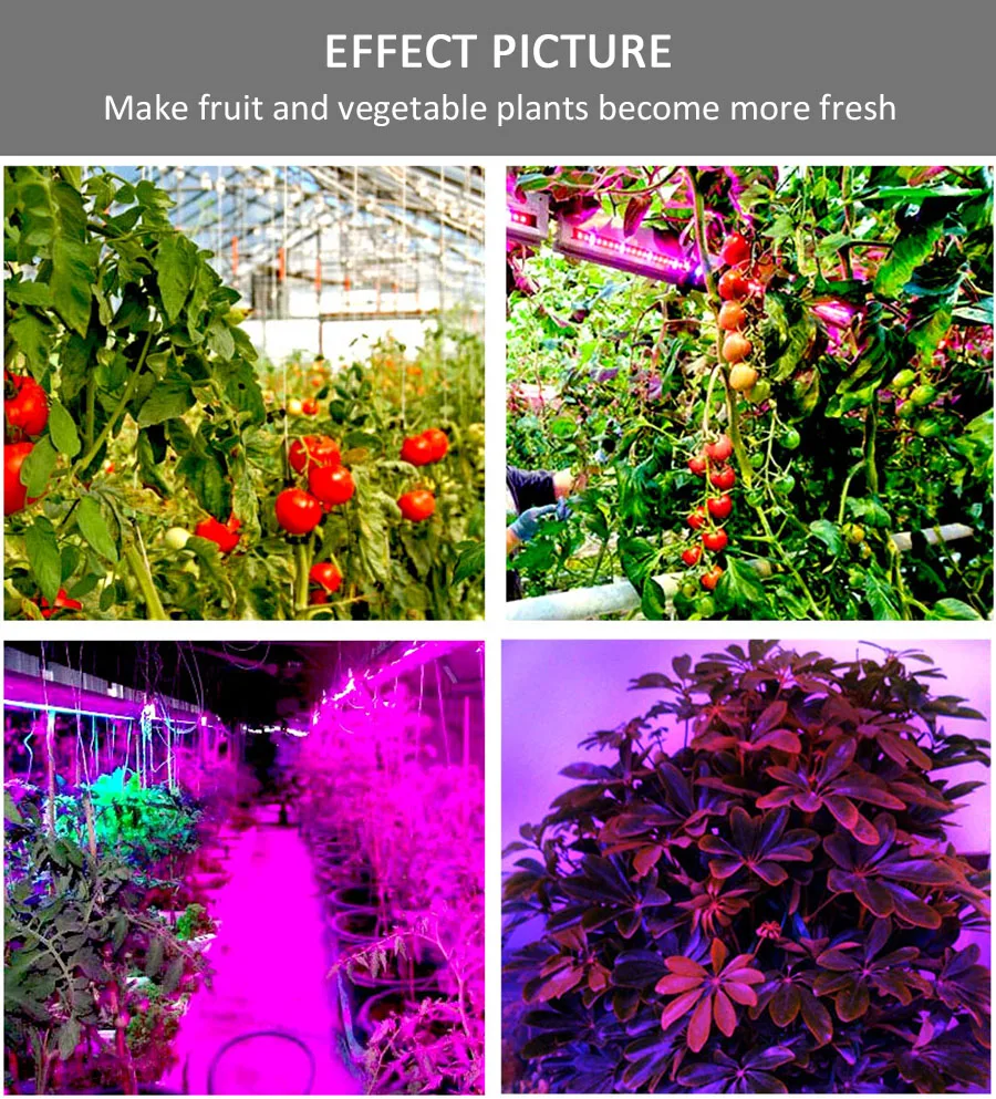 LED Plant Grow Lights  12