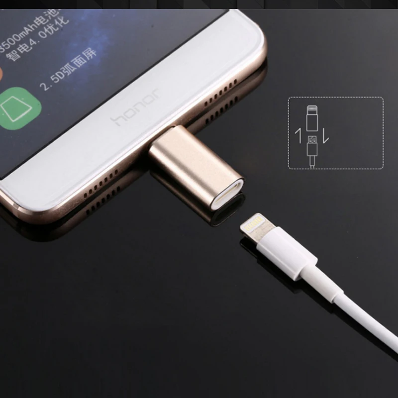 Type C Male to 8 Pin light ning Female USB Cable Converter Charger Type