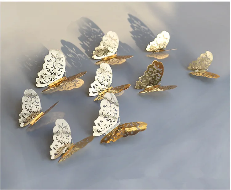 3800699919_777894473