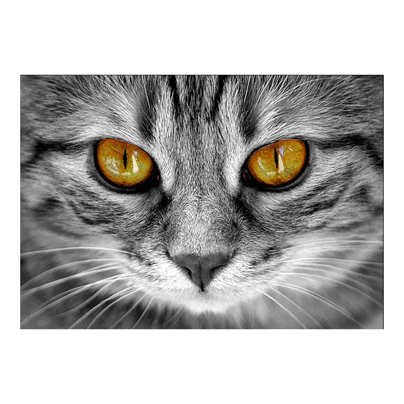 5D DIY Алмазная картина король Кот Вышивка Полный крестом Стразы мозаика домашний