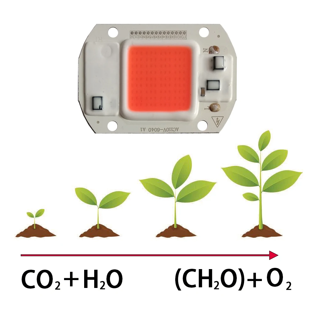 10 шт./лот Led Grow Light Cob Чип 220 В/110 в полный спектр для растений цветок овощи фрукты светодиодные теплицы растение растет свет часть