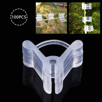 

100 Pcs High Grade Plastic Transparent Durable Grafting Clips for Garden Vegetable Flower Vine Bushes Plant