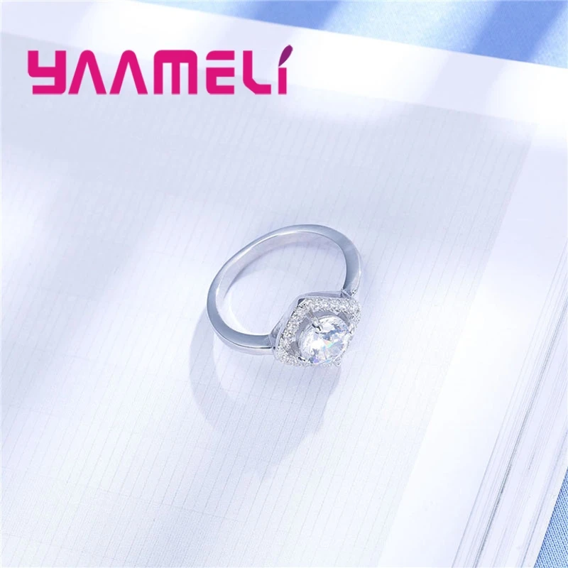 R30100 (3)