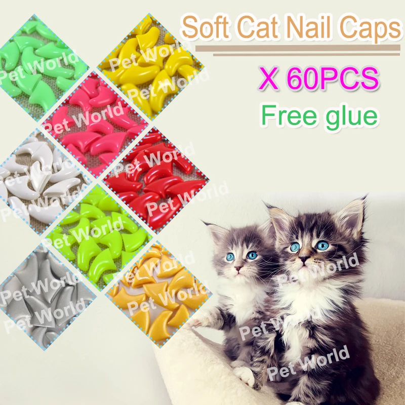 

NEW 60Pcs cat soft Nail Caps Paw Claws for Pet Cat with instruction & 3x FREE super glues and applicator