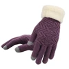 New Winter Touch Screen Knitted Gloves Women Fashion  Knit Gloves Mittens  Female thick Plush Wrist  Driving Glove Wholesale ► Photo 3/6