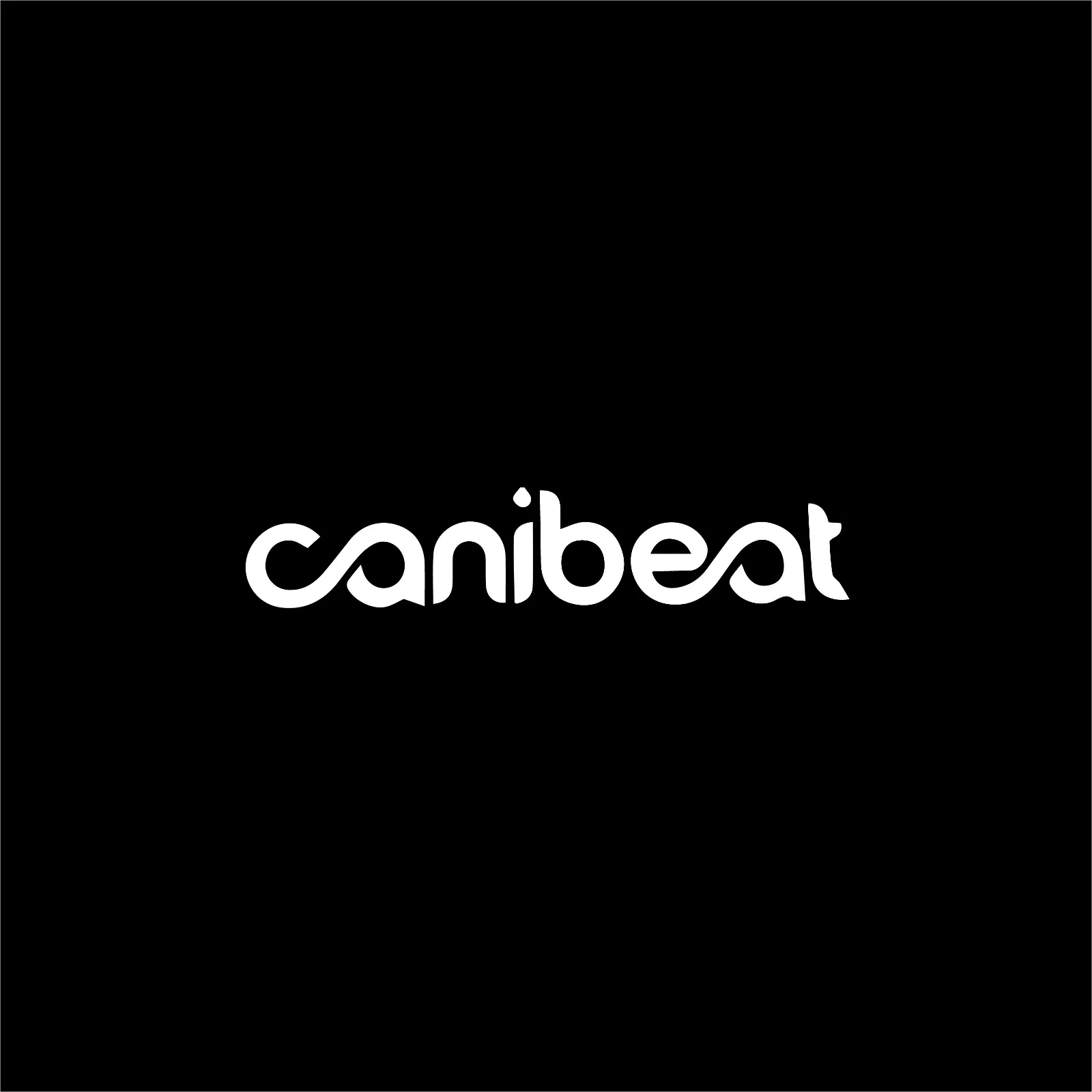 Виниловая наклейка canibeat stance nation import тюнер illmotion JDM 15 см | Игрушки и хобби