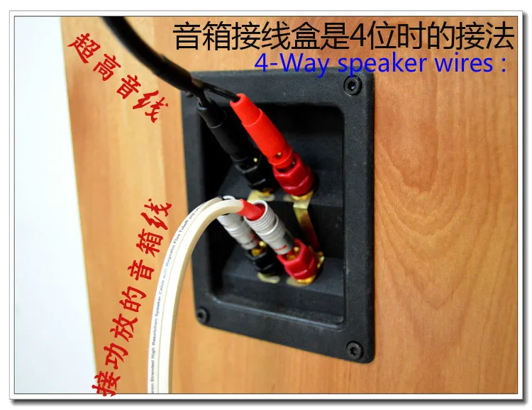 tweeter speaker
