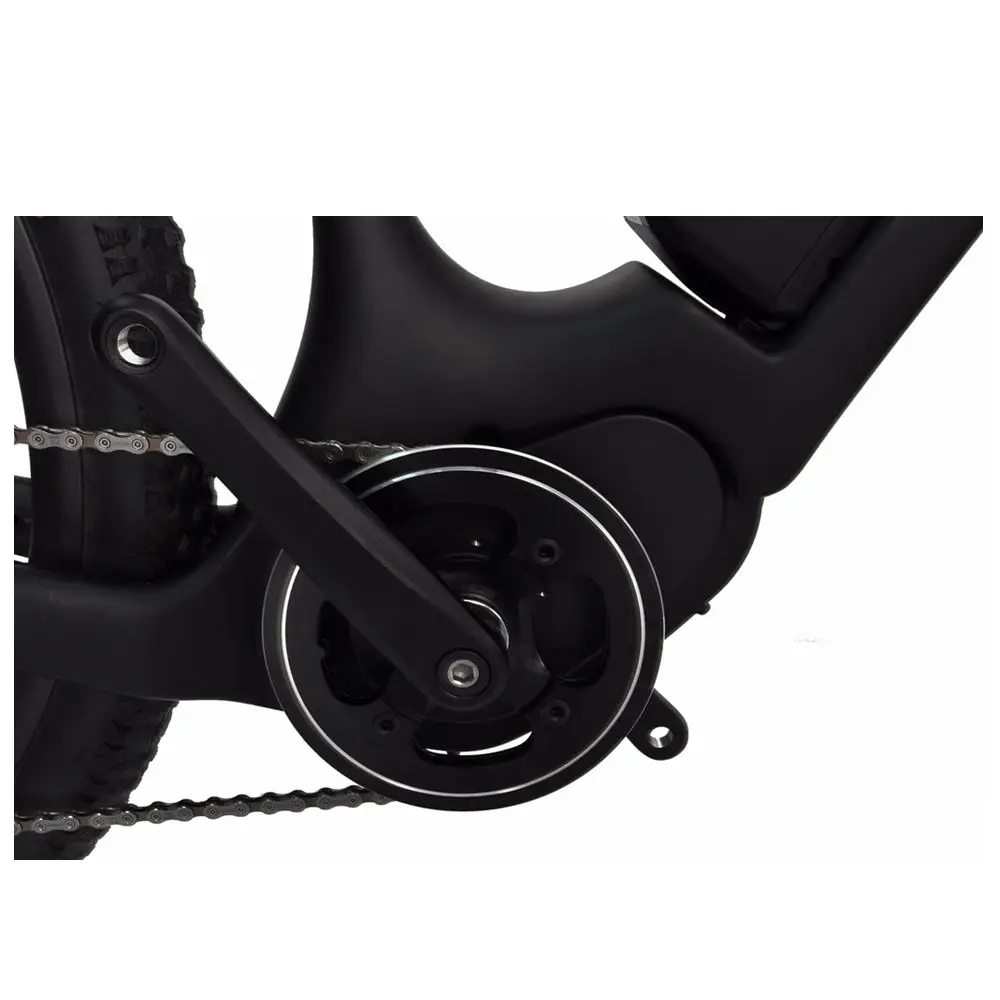 Sale 29er E Bike 18" carbon frames MTB motor wheel Electric Mountain Bicycle 36V 250W Bafang UD matt 3 Sale 29er E Bike 18" carbon frames MTB motor wheel Electric Mountain Bicycle 36V 250W Bafang UD matt 3