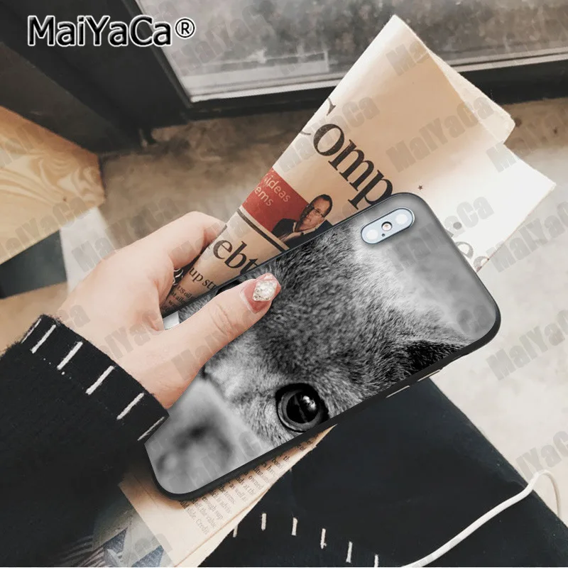 A6 MaiYaCa милый Британский короткошерстный кот Новинка чехол для телефона Fundas чехол для Apple iphone 11 pro 8 7 66S Plus X XS MAX 5S SE XR чехол - Цвет: A6