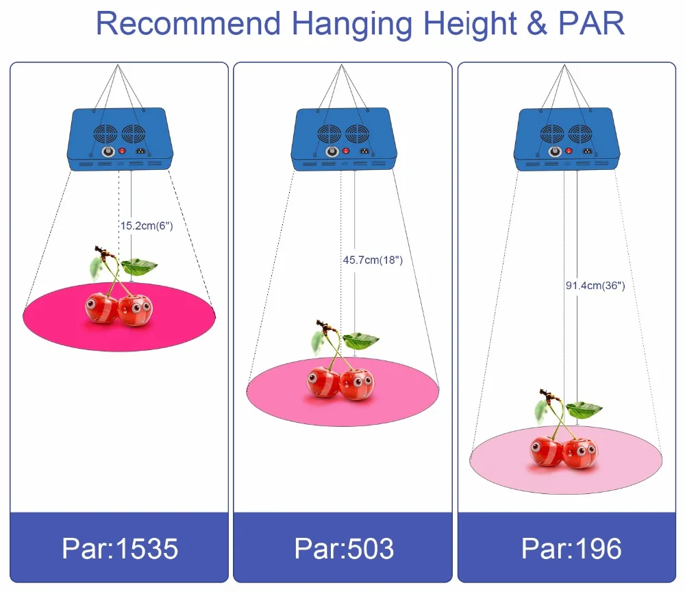 5.PAR