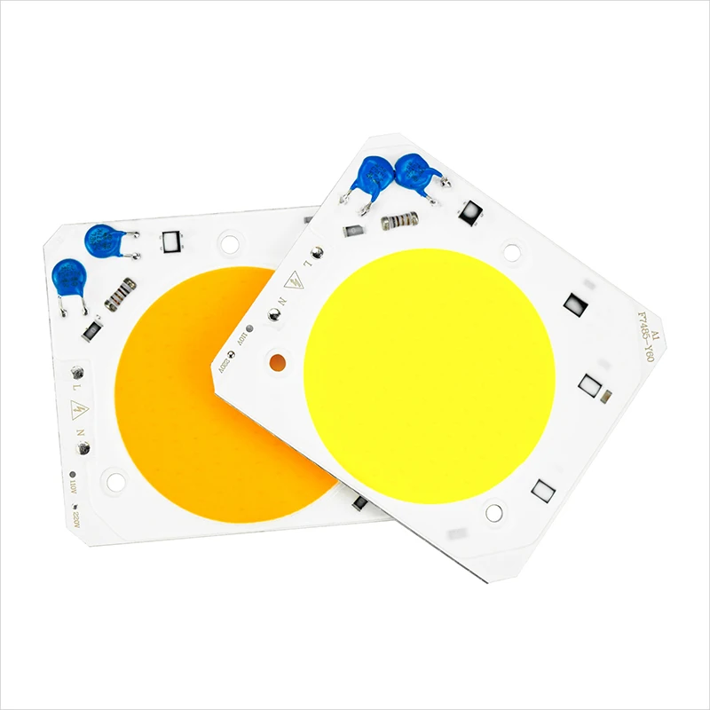 

30W 50W LED COB Chip AC 220V 110V Anti Surge Design Smart IC High Lumen Chip For DIY LED Floodlight Light Bead No Need Driver