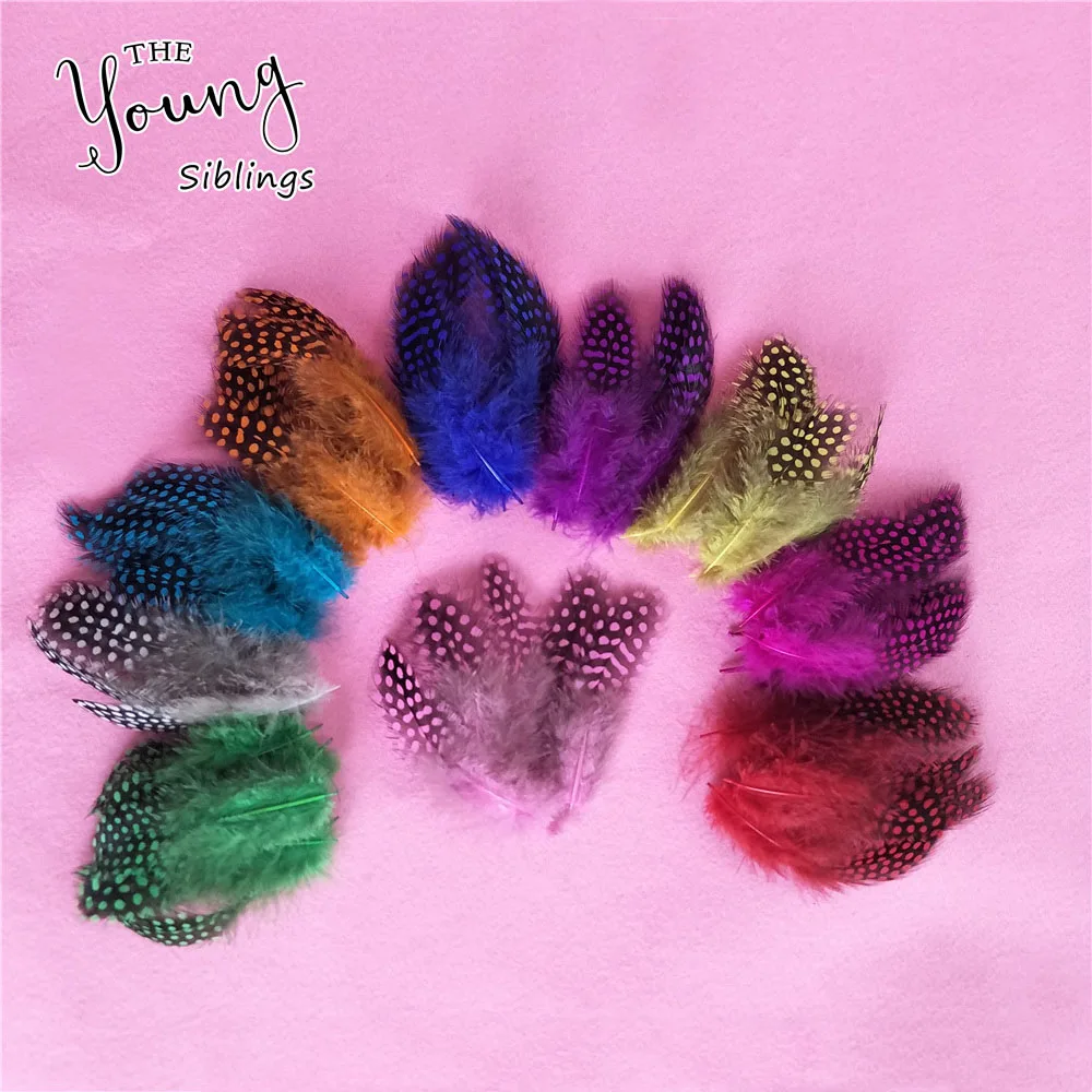 Natural Chicken Feather 50pcs / 500pcs Lot Colored Pearl Feathers 6