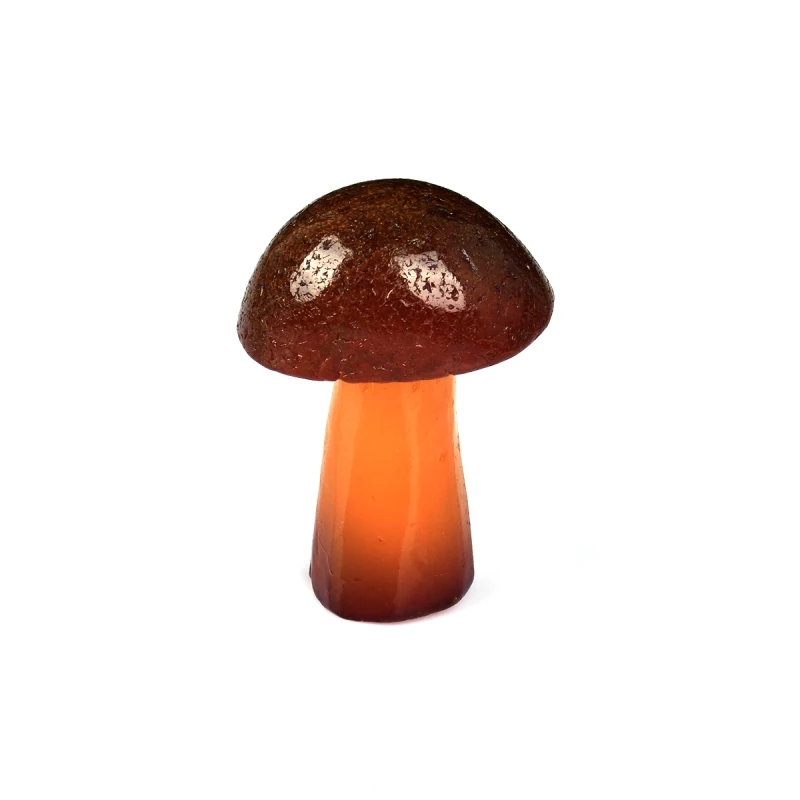 蘑菇10