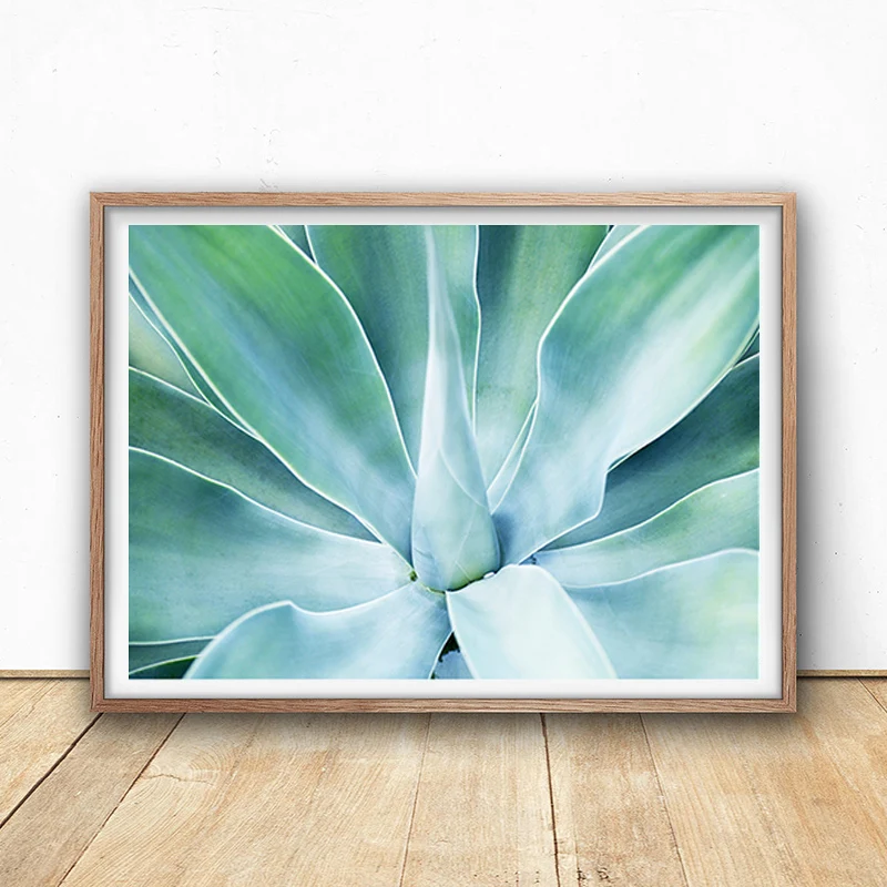 Succulent Print,  Agave Plant, Botanical Print, Tropical Decor, Succulent Poster, Teal Green