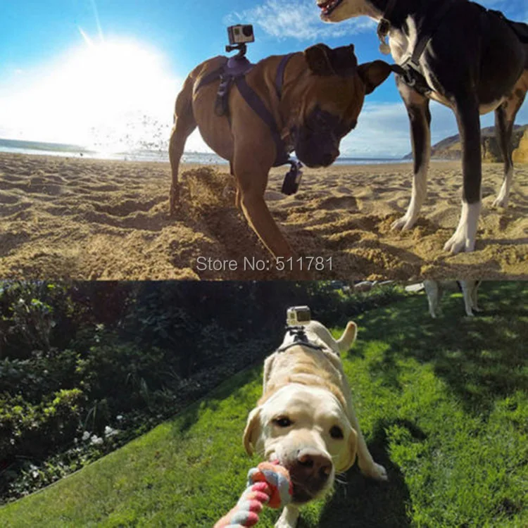 Easttowest Регулируемый эластичный нагрудный ремень для собак для Go Pro Hero 4 Xiaomi Yi Экшн-камера Sjcam SJ4000 SJ7000