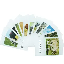 Лесных животных тематические флэш-карт Монтессори учебных материалов для 3 лет Язык учебной деятельности карты