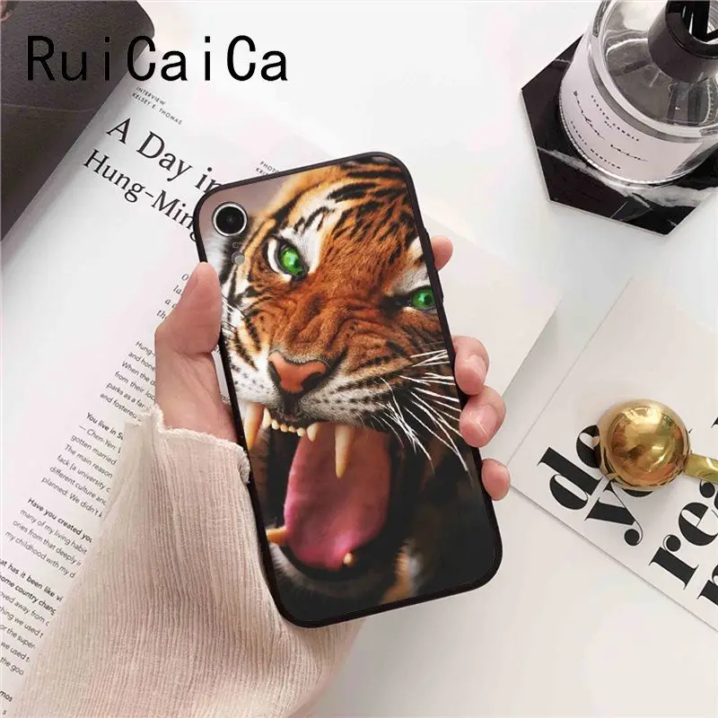 tiger fashion