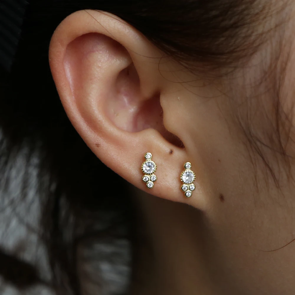 silver Y (4)