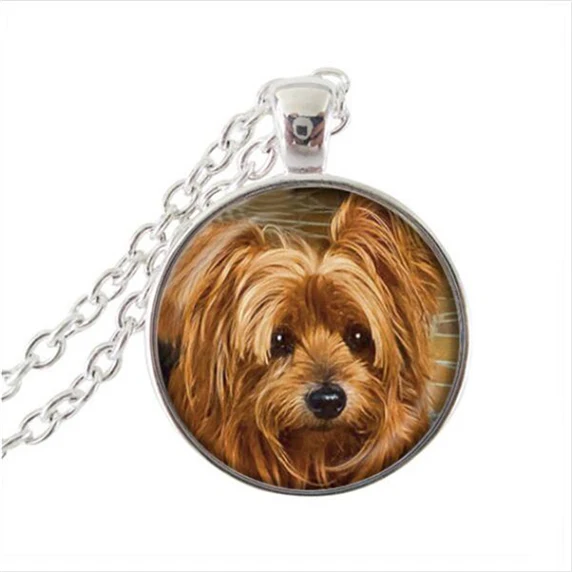 AliExpress,, ювелирные изделия в виде животных, фото собаки, кулон, колье, ожерелье для мужчин и женщин, подарок на ожерелье для любителя собак, щенков, ювелирные изделия HZ1 - Окраска металла: A