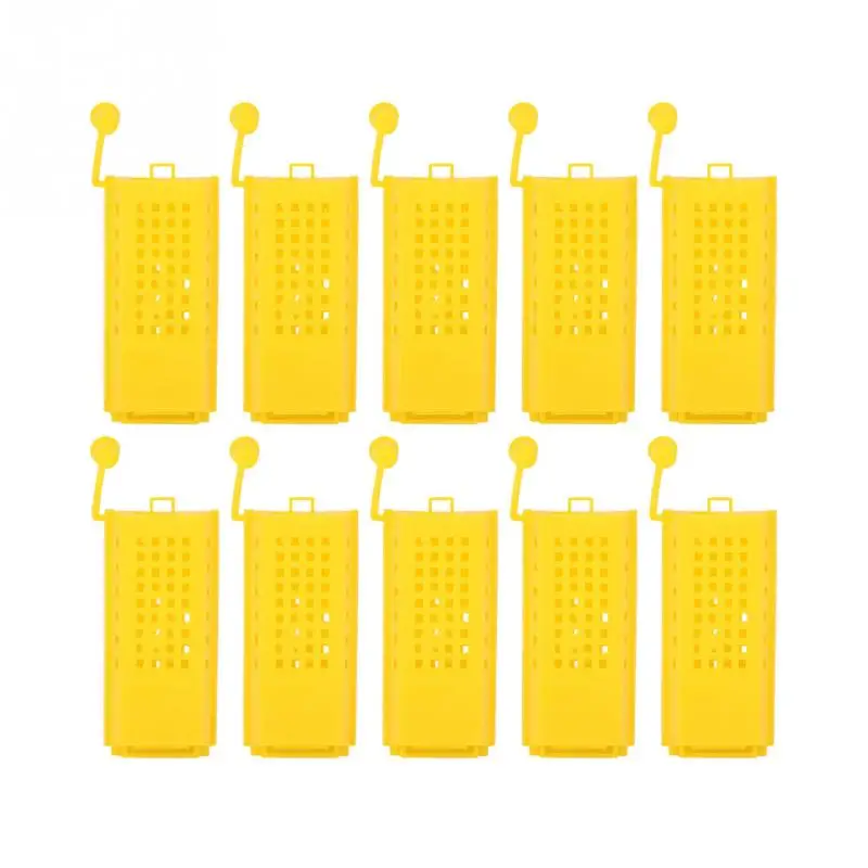 

10pcs Beekeeping Equipment Tools Beekeeper Apiculture Professional Transport Plastic Bee Cages Box for Isolation Bees Queen Cage