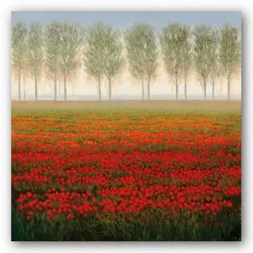 Morning Mist 27x27 Art Print Poster