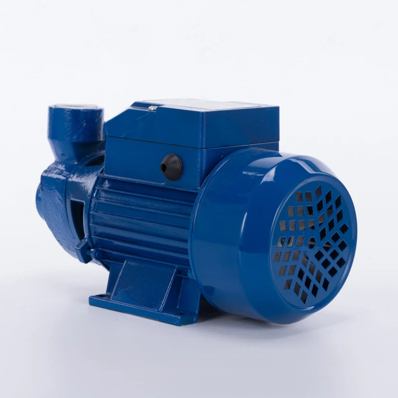 1pc New 220V/110V Home Water pump Single phase Copper Electric pump 60Hz in Pumps from Home
