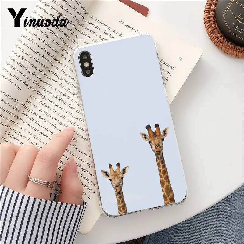 Wear Glasses Giraffe