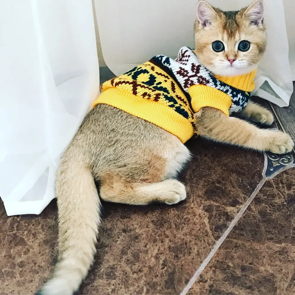 Petalk Snowflower Cat Sweater Knitwear Pet Jumper Coat Dogs Cat Christmas Dog Clothes for Small Pet XS S M L XL XXL Petalk Snowflower Cat Sweater Knitwear Pet Jumper Coat Dogs Cat Christmas Dog Clothes for Small Pet XS S M L XL XXL