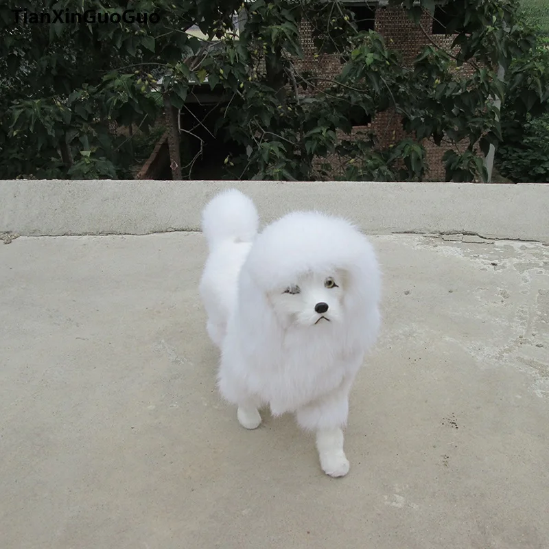 simulacao-poodle-cao-de-pe-33x13x30cm-modelo-duro-polietileno-peles-branco-poodle-artesanato-ornamento-decoracao-presente-s0716