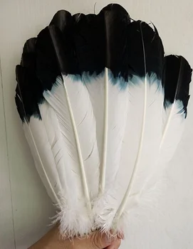 

Wholesale 50pcs beautiful black and white feather Turkey 25-30 cm feather dyed decoration