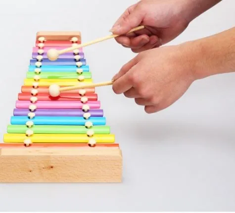 Brinquedos do Bebê Brinquedos de Treinamento Montessori Crianças Brinquedo Colorido Quinze Sons Bata Aprendizagem Preschool Educacional Juguets 8 Montessori Crianças Brinquedo Brinquedos Do Bebê Colorido