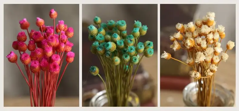 50 высушенных цветов счастливый цветок натуральные растения букет декоративный цветочный для дома Свадебные украшения праздничные вечерние принадлежности