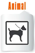 Animal