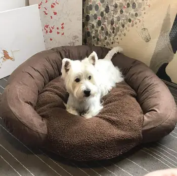 

Warm Dog Mat Cat Sofa Pet Bed Sleep Warm Teddy Cat Puppy Soft House Fall Winter Nest Kennel Drop shipping