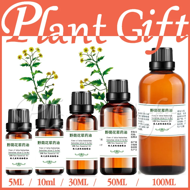 wholesale!!skin care oil 100 pure plant herbal medicine oils Wild