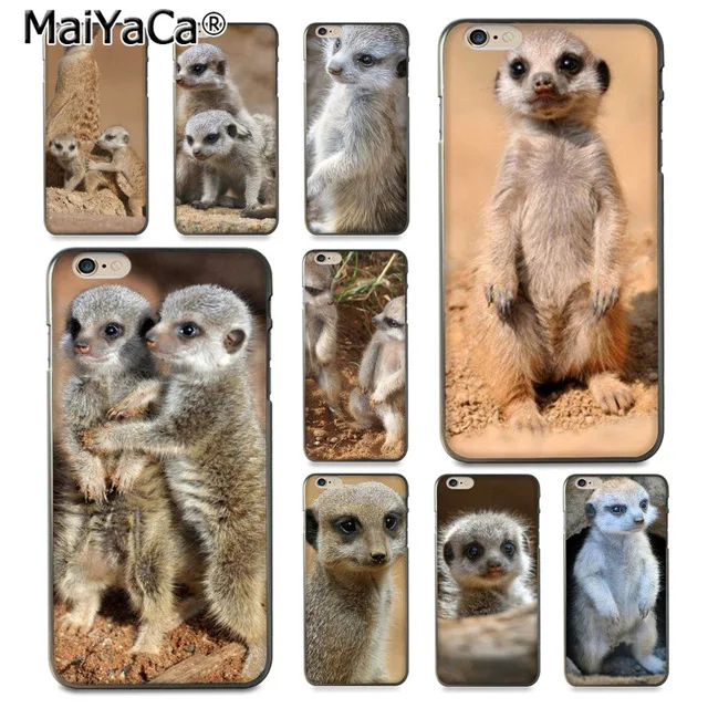 MaiYaCa Animal baby meerkat для iPhone 4S 5C 5S 6S 7 8 Plus X XR XS MAX Samsung черный мягкий чехол телефона
